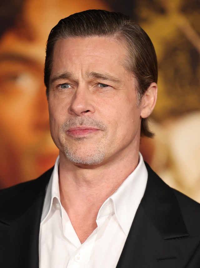 Brad Pitt (Actor)