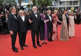 "Cafe Society" & Opening Gala - Red Carpet Arrivals - The 69th Annual Cannes Film Festival