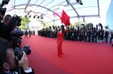 "Elle" - Red Carpet Arrivals - The 69th Annual Cannes Film Festival