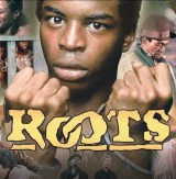 roots-122013