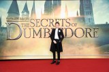 World Premiere "Fantastic Beasts: The Secrets of Dumbledore" In London