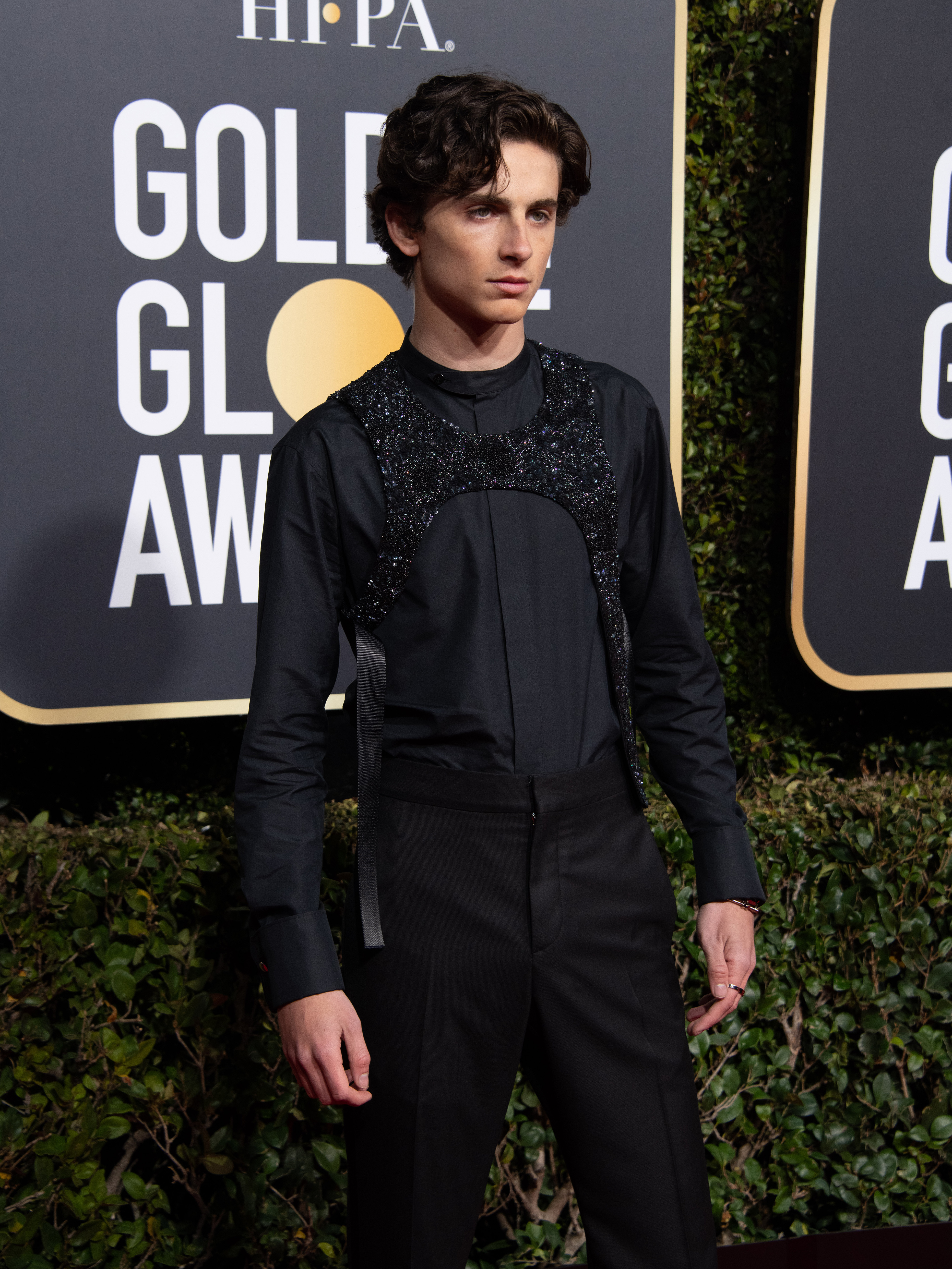 2019 Timothee Chalamet, 76th Golden Globes