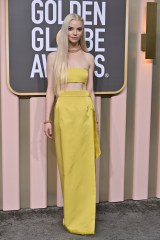 Anya Taylor-Joy - Dior (2023)