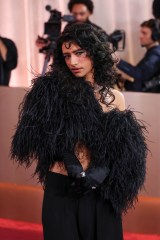 83rd Annual Golden Globes - Arrivals